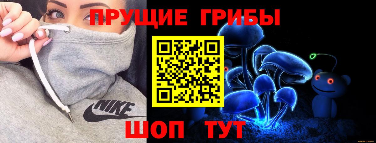 Псилоцибиновые грибы GOLDEN TEACHER  Галлюциногенные грибы Cubensis  Новочебоксарск  Вход с VPN 